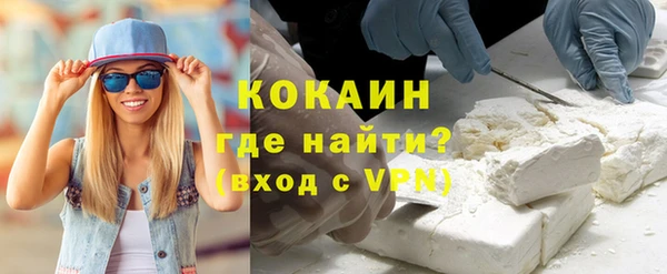 шишки Заволжск