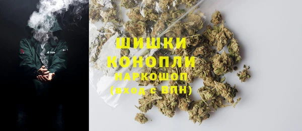 сатива Заволжье