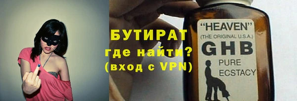 сатива Заволжье