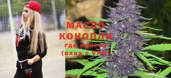шишки Заволжск