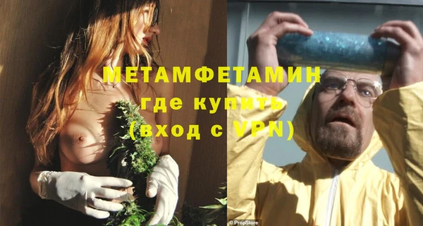 сатива Заволжье