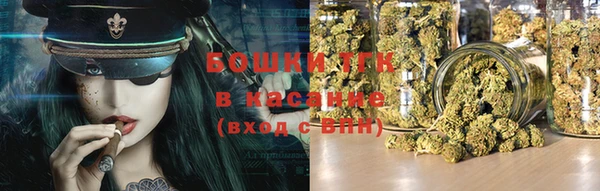 сатива Заволжье