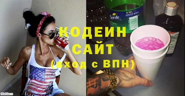 шишки Заволжск