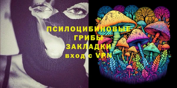 сатива Заволжье