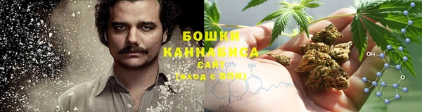 шишки Заволжск