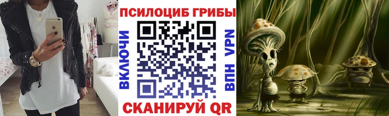 Псилоцибиновые грибы прущие грибы  Купить  Грозный 
